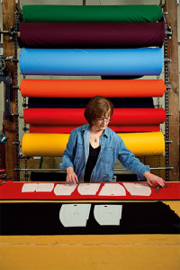 dehen fabric colors
