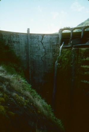 elwha dam graffiti