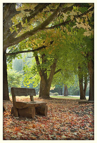 bridges-corvallis-4