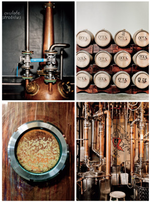 craft distilleries