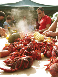 crawfish