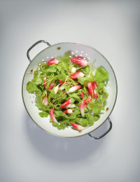 Radishes