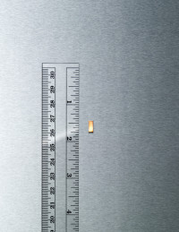 microprocessor