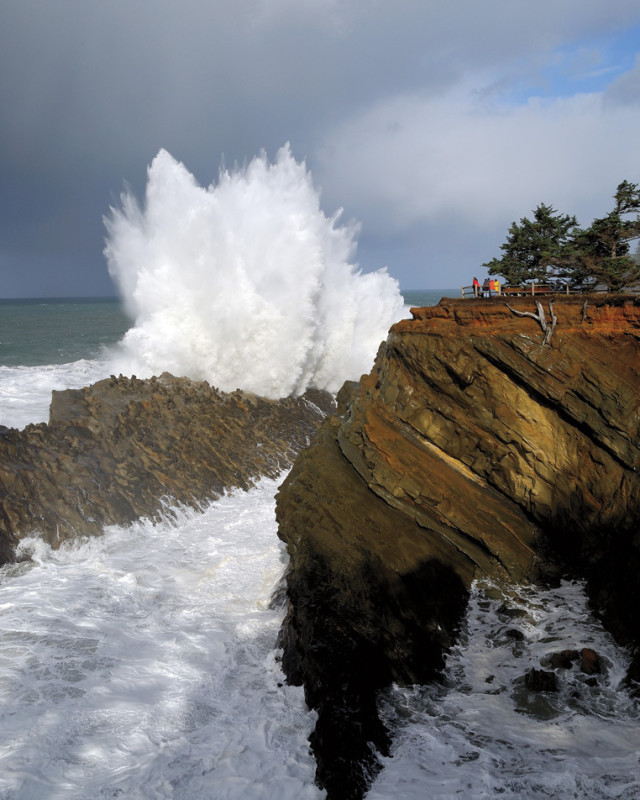 Cape Arago