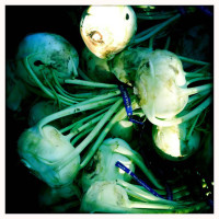 kohlrabi
