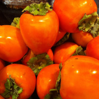 hachiya persimmons