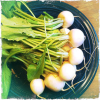 Turnips