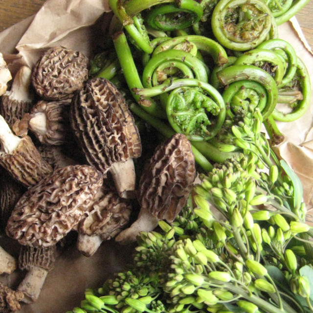 morel mushrooms, fiddleheads, raab
