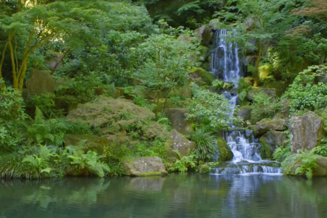 Portland japanese garden expansion announcement dabj83