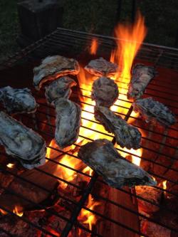 Netarts oysters on the grill