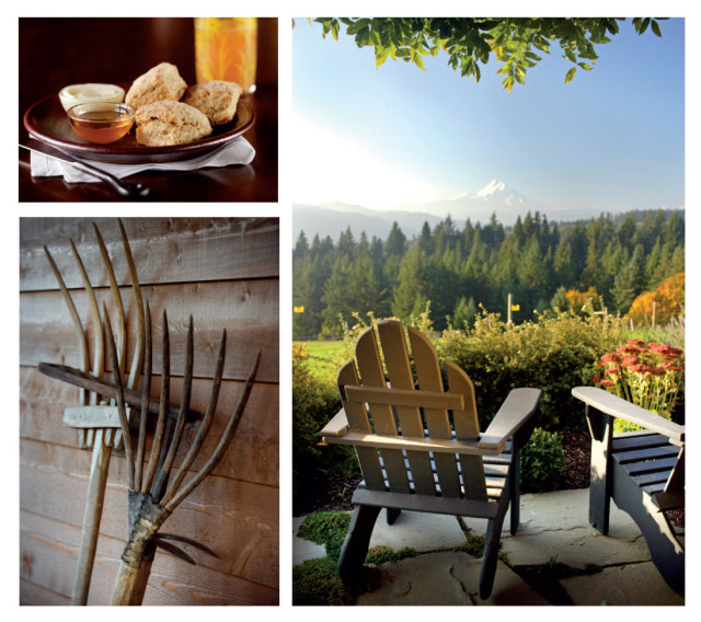 Enjoy fresh pastries and spectacular views at Sakura Ridge