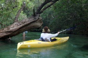 Weekiwachee600x 300x200 idaqed