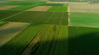 Stock footage aerial view agricultural farming land growing fruit and vegetable crops in tropical climate rawfyg