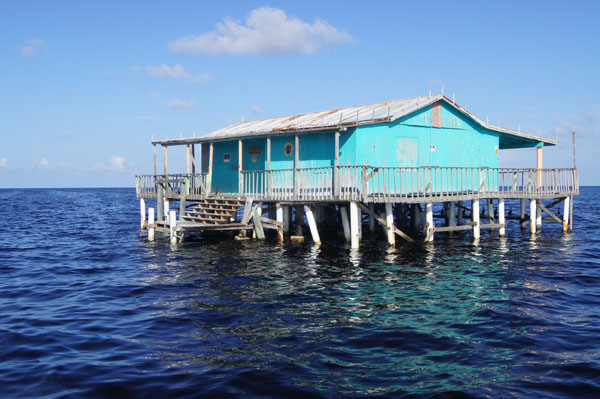 Stilt House