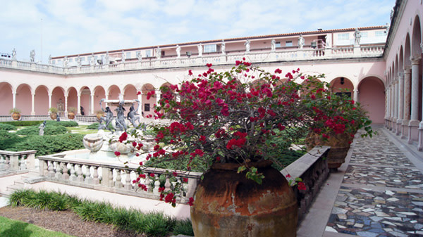 Bougainvillea600x saramag dkiiua