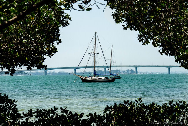 Mike dow sarasota bay hhhglt