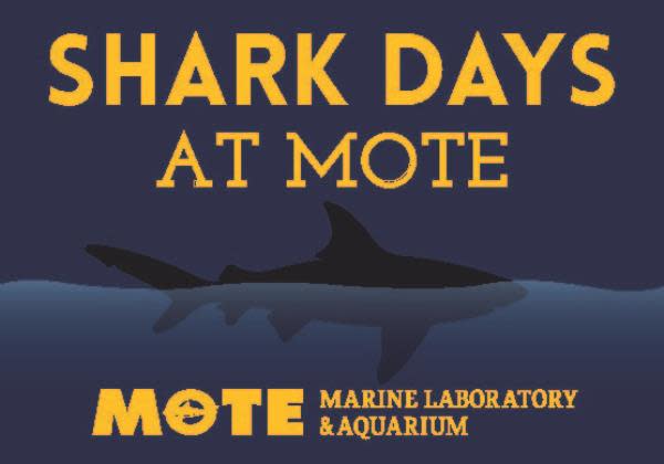 Mote sharkweek srqgivesback thumbnail 062015 v1.jpg sdjajt