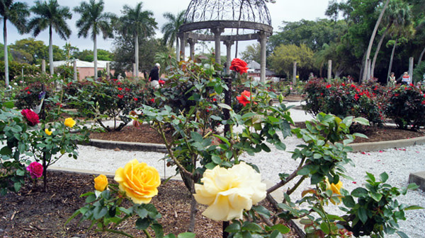 Ringlingrosegarden600 saramag sh64wx