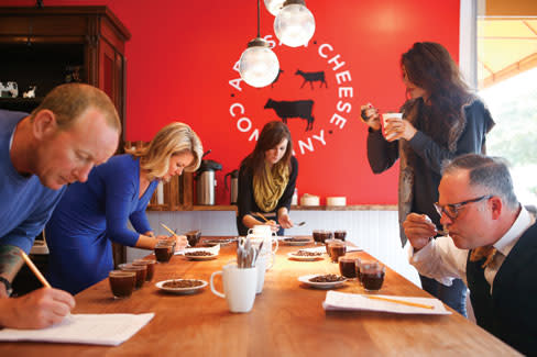 Cupping judges a6c2x0