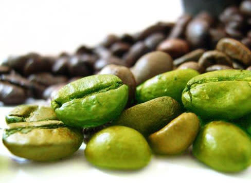 Extract of green coffee beans pcm9aq