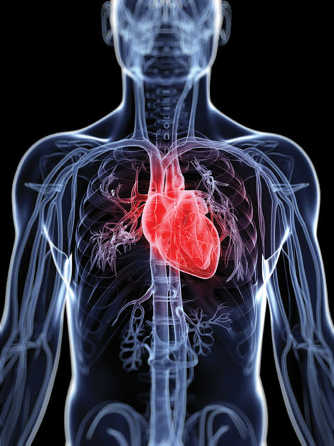 Heart fa02vw