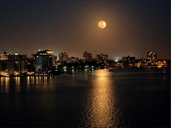 Moonrise over sarasota 52215 pg4mzn