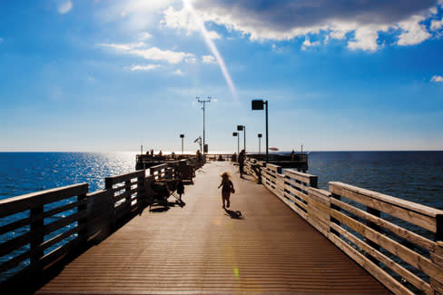 Venice Fishing Pier  Visit Sarasota County