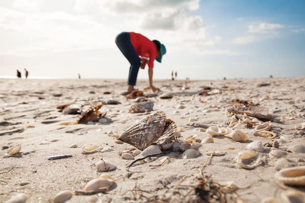 Sanibel shuffle viypry