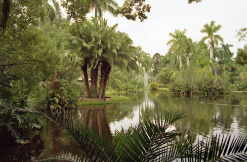 Photo Of The Week Sarasota Jungle Gardens Sarasota Magazine