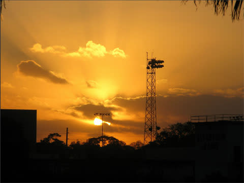 Sarasota sunrise s.a wufmbw