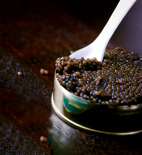 Seafood caviar jl35z6