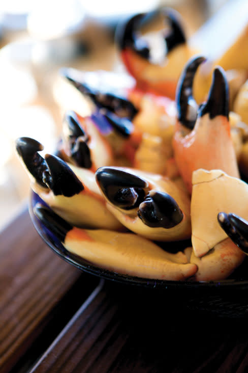 Seafood stonecrabs p8xvgd