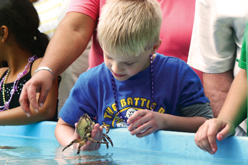 Touch tank  florida sea grant xqdrjc