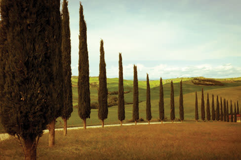 Tuscany landscape u8zxha