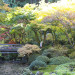 Thumbnail for - Slide Show: The Portland Japanese Garden's Fall Colors