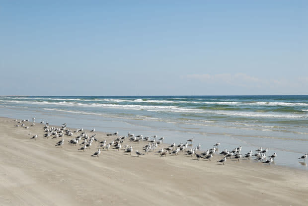 How Far Is Port Aransas From South Padre Island How Far Is Port Aransas From South Padre Island