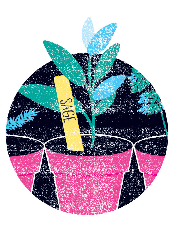 Seattle’s Best Places to Work Seattle Met