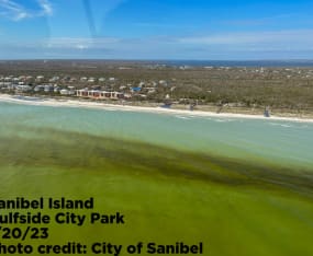 Red Tide Documented Off Sanibel and Captiva
