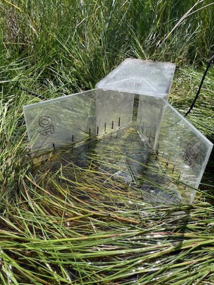 Breder trap