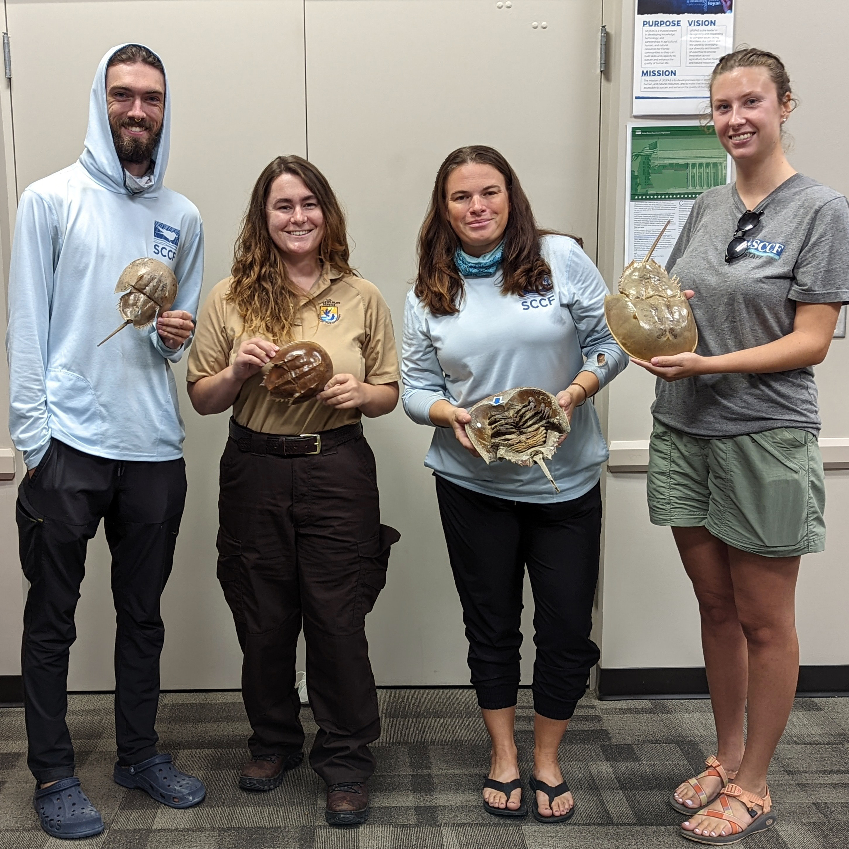 • From left: SCCF Shorebird Technician Aaron White, USFWS Biological Science Technician Avery Renshaw, SCCF Shorebird biologist Audrey Albrecht, and SCCF Shorebird Intern Elsa Wilson.