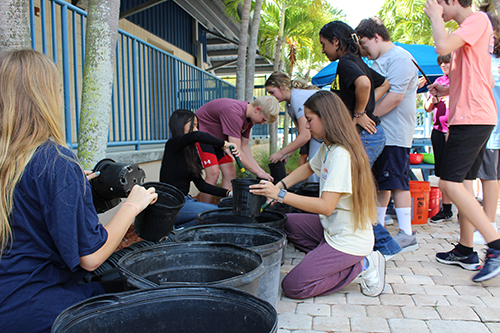 school children planting mangroves