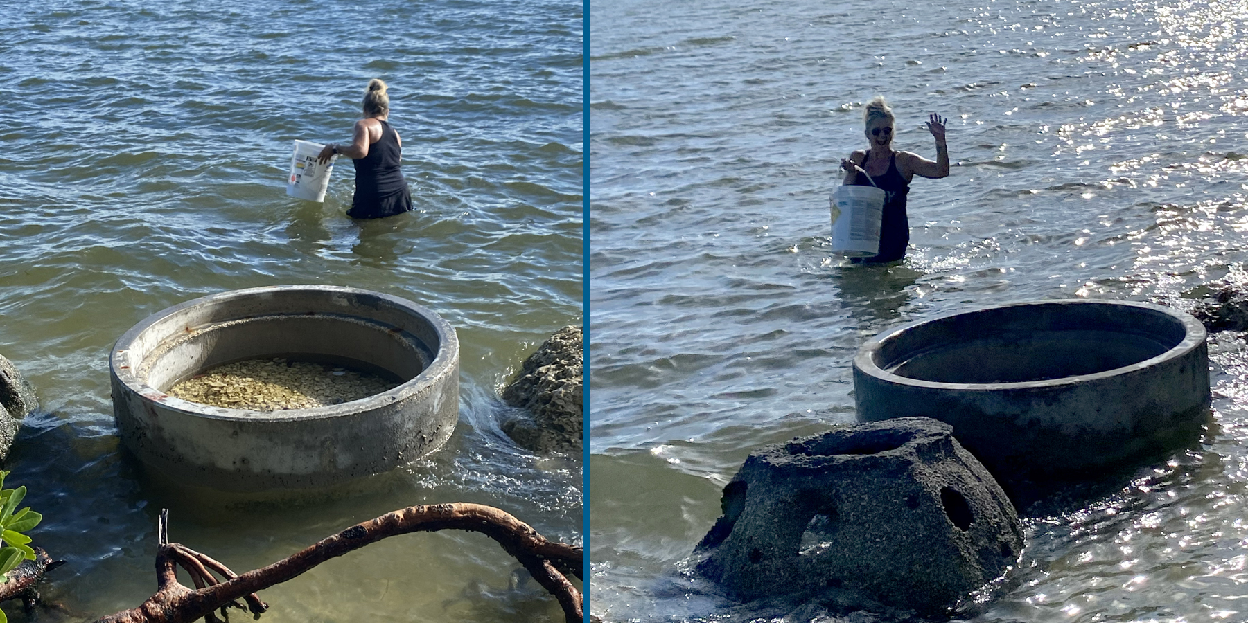 Image of Tracie collins gathering mangrove propagules