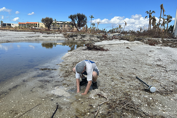 SCCF staff member Jacob Wozny looks for a sea turtle nest on Sanibel after Hurricane Ian