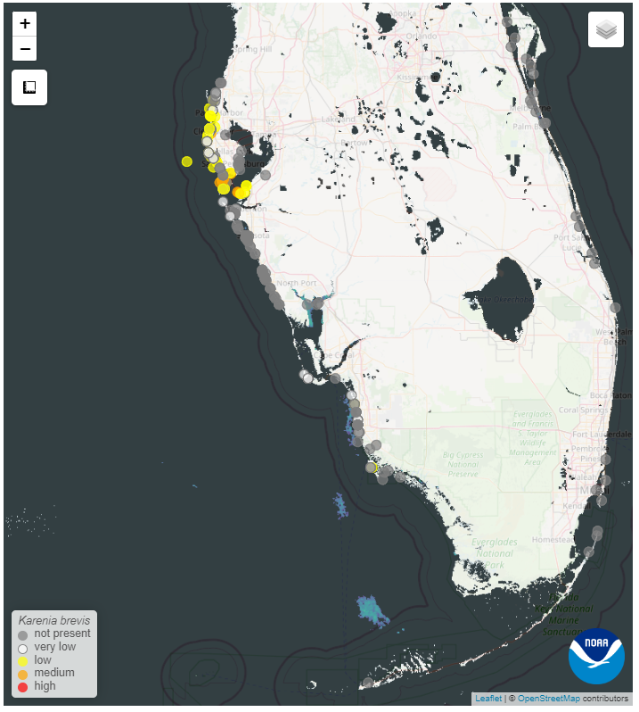 Red Tide Subsiding in Southwest Florida SanibelCaptiva Conservation