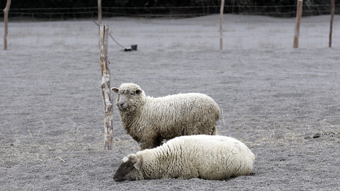 FOTO: EPA/NTB scanpix