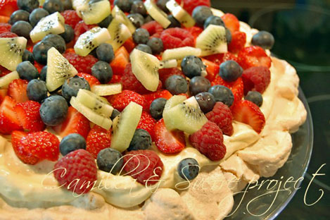 http://sverreproject.wordpress.com/2011/05/27/pavlova/