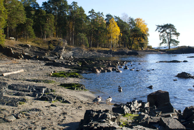(Foto: Espen Bratlie/Samfoto)