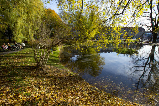 (Foto: Espen Brattlie/Samfoto)