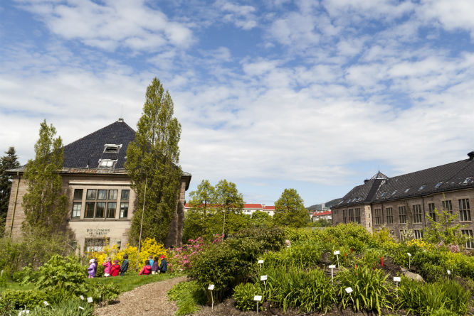 (Foto: Svein Nordrum/Samfoto)