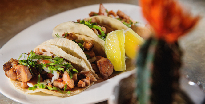 Tacoen du lager ser neppe helt slik ut. Disse er laget av restauranten Taco Republica i Oslo. (Foto: Magnar Kirknes/VG/Scanpix)